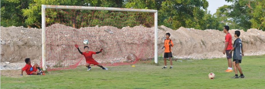 23