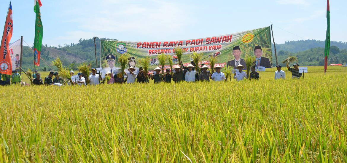 panen raya 3