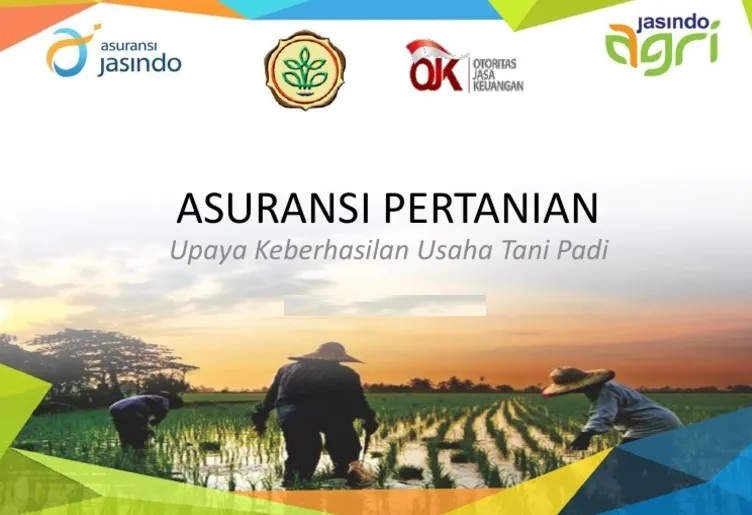 Ketua Komisi II DPRD Provinsi Bengkulu, Jonaidi Dorong Petani Agar Ikut Asuransi Pertanian