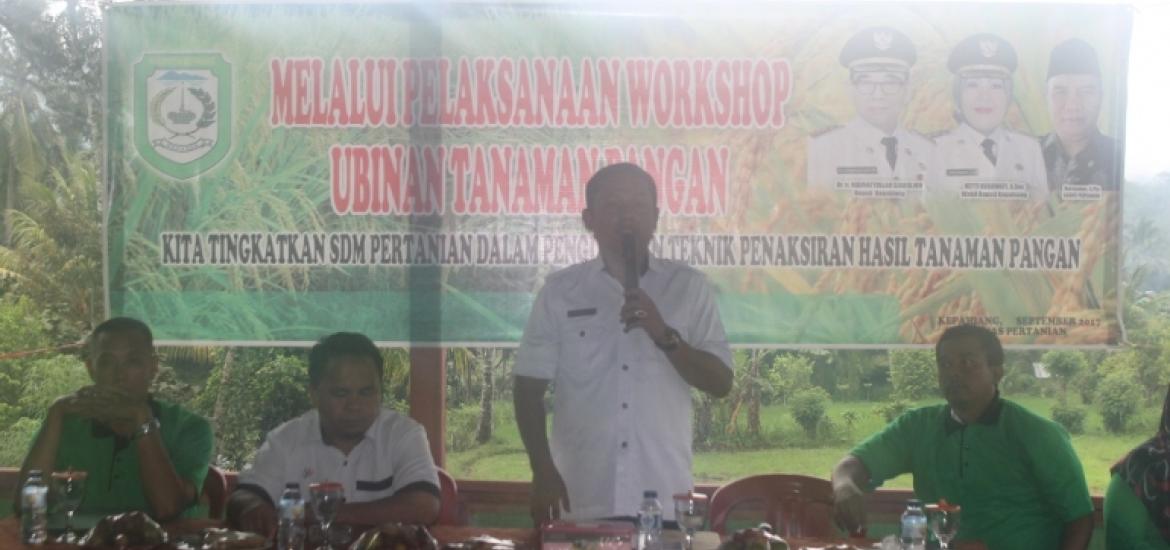 Kabid Program dan SDM Pertanian Swifanedi Yusda S.Hut saat menjelaskan metode Ubinan tanaman pangan