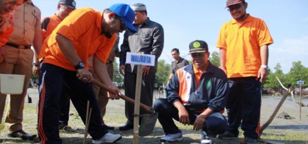 Walikota Bengkulu H. Helmi Hasan saat penanaman mangrove kerjasama CSR Pertamina dan Universitas Muhammadiyah Bengkulu (UMB)