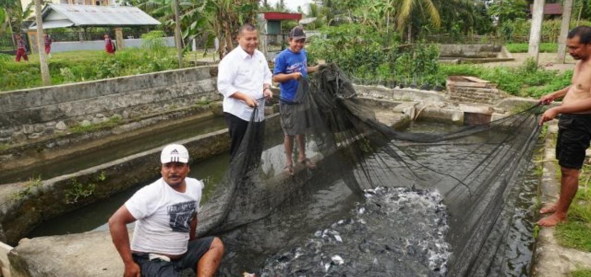 Budidaya Ikan Patin di Bengkulu Selatan