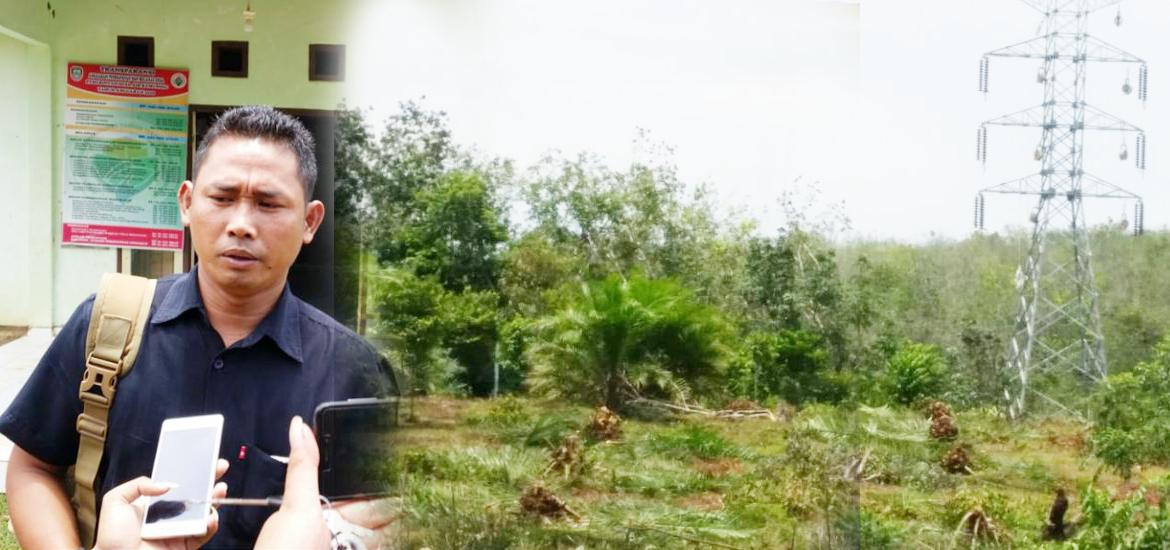Pemilik hak kuasa tanam tumbuh, Feby febriansyah mengecek lokasi penebangan