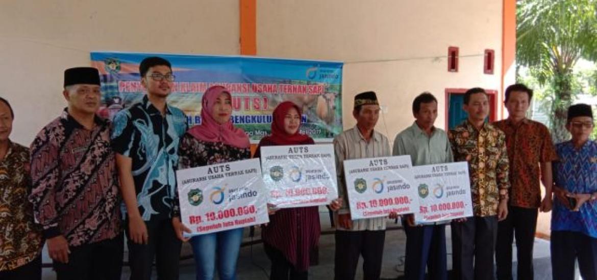 Tiga Kelompok Tani (Koptan) di Bengkulu Selatan menerima pembayaran klaim Asuransi Usaha Ternak Sapi (AUTS)