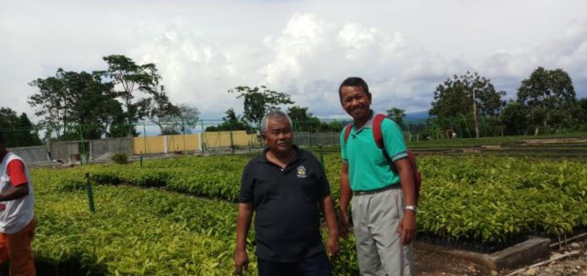 Bengkulu Selatan Terima Bantuan 10 Ribu Bibit Pohon dari Kementerian LHK