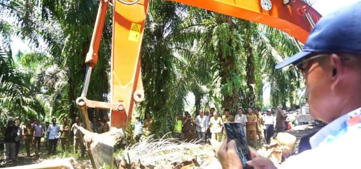 Bupati Bengkulu Selatan Gusnan Mulyadi melaunching program peremajaan perkebunan kelapa sawit rakyat