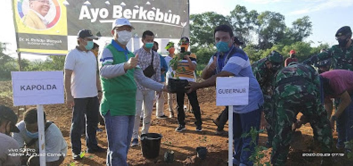 gubernur Rohidin Mersyah Saat Lounching Ayo BERKEBUN