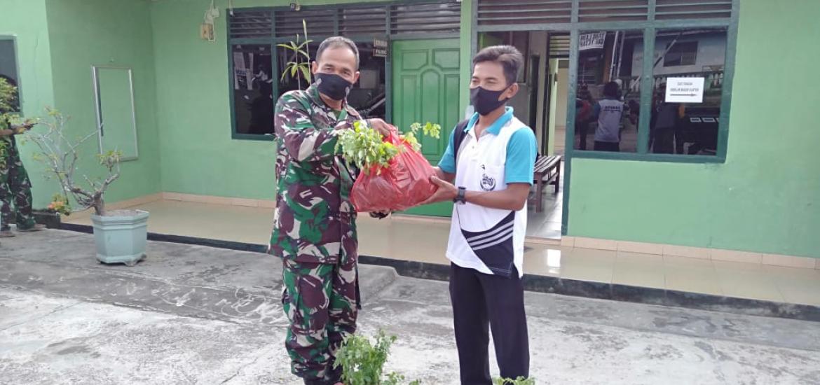 Penyaluran bibit kelor