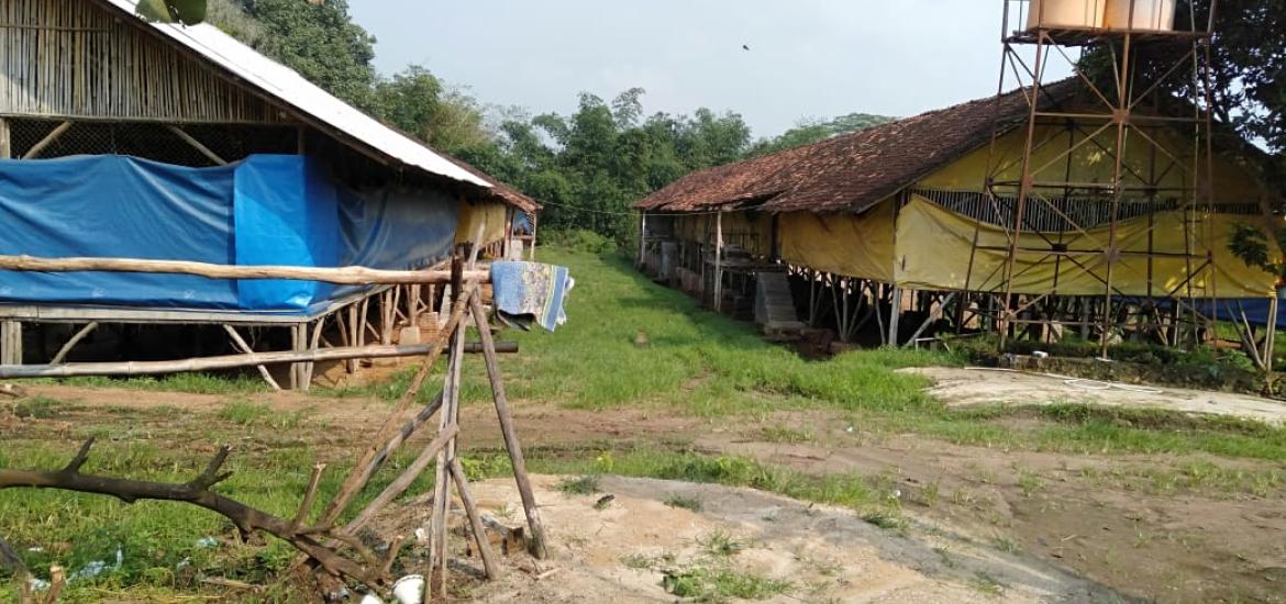 Dokumentasi usaha ayam potong
