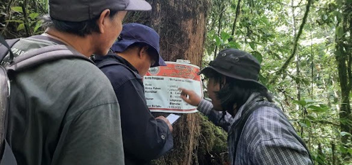 Salah satu kegiatan pengukuran pohon untuk mengetahui kandungan karbon pada program REDD+