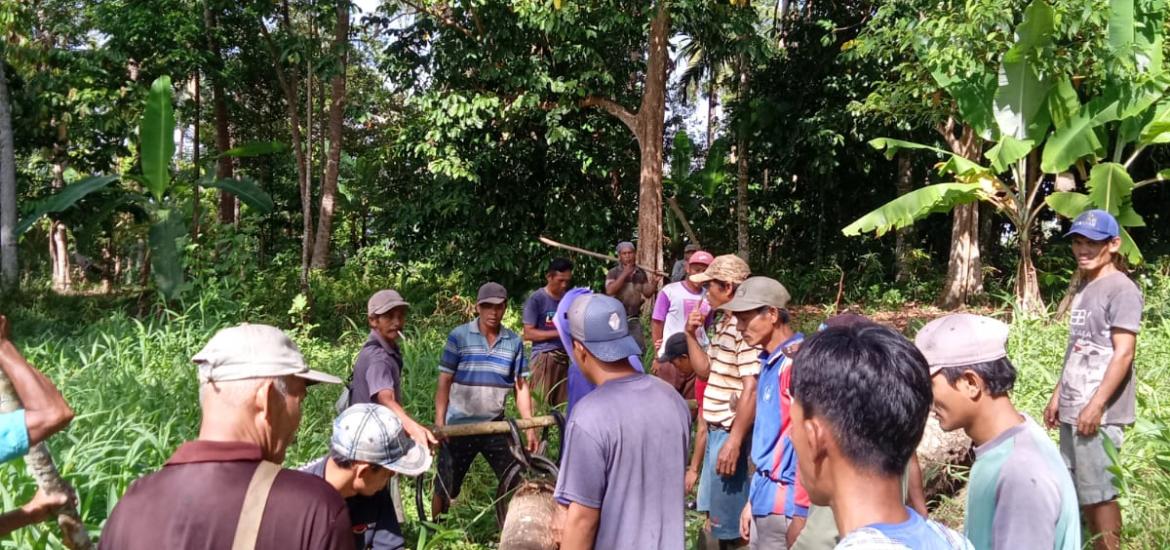 Pekon Kedamaian Gelar Gotong Royong