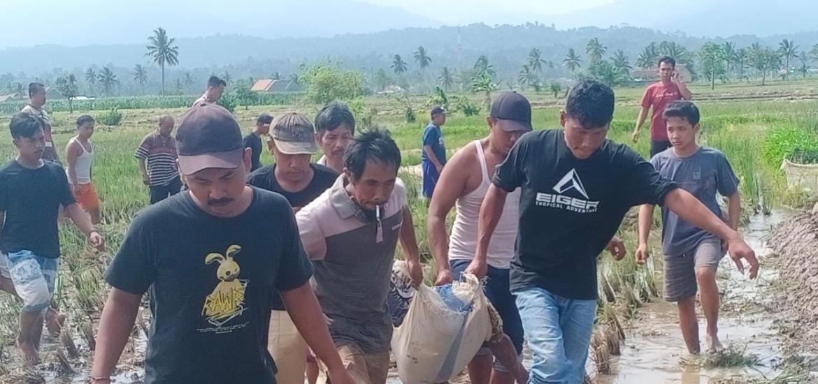 Polsek Wonosobo Tanggamus Identifikasi Temuan Mayat di Persawahan