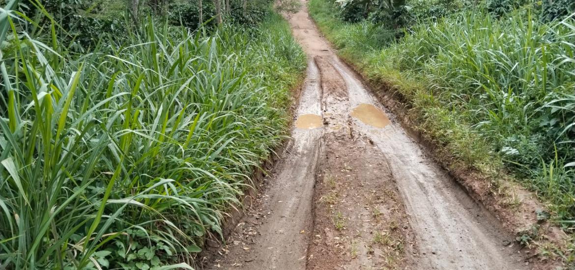 Jalan penghubung Desa Sinar Gunung menuju Desa Bengko