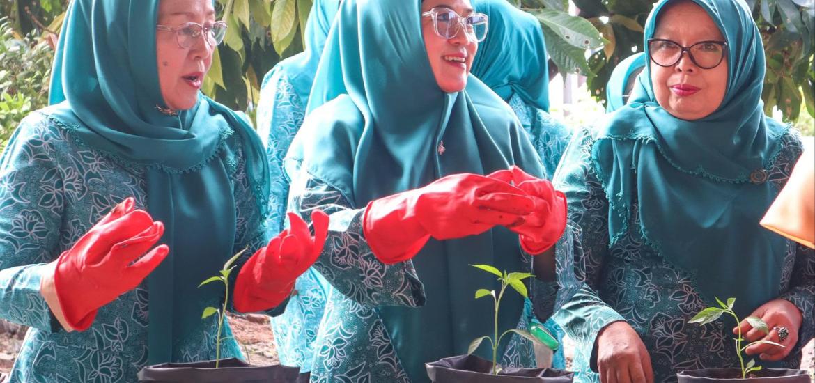Derta Rohidin Dorong Masyarakat Tanam Cabai