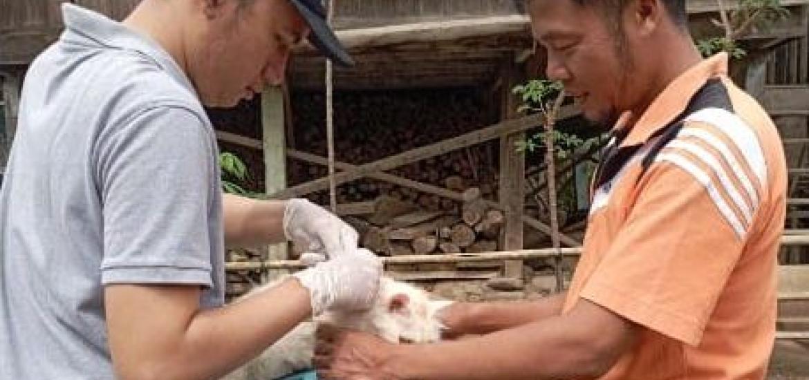 Antisipasi Rabies