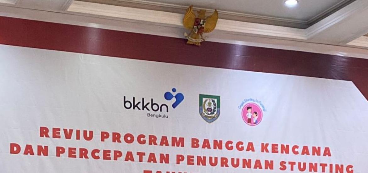 Tim Percepatan Penurunan Stunting