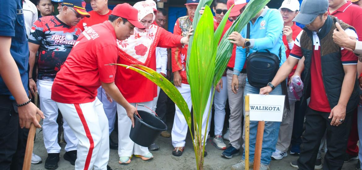 Pohon Kelapa GEMPALA Tumbuh Subur, Walikota Dedy: Target Dua Tahun Lagi Sudah Panen