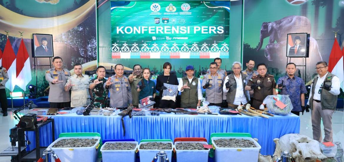 Polda Riau Bekuk 15 Tersangka Jaringan Perburuan Gajah Sumatera Lintas Provinsi