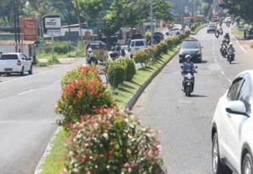 Walikota Helmi Hasan Meninjau Langsung Penataan Taman Kota