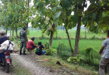 Sasaran Kegiatan Pra TMMD 110, Babinsa Kodim Bojonegoro…