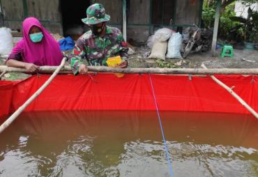Budidaya Ikan Lele, Satgas TMMD 110 Bojonegoro Tinjau Kolam…