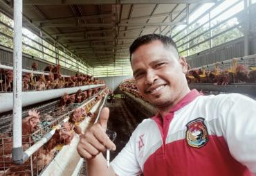 Pemerintahan Desa Air berau telah membudidaya kan Ayam bertelur