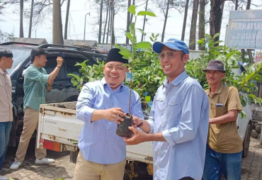 Anggota DPRD Provinsi Dempo Xler Bagikan Bibit Jambu Kristal Upaya Tingkatkan Kesejahteraan Masyarakat