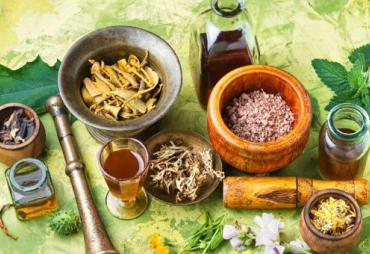 Jenis-jenis Tumbuhan yang di manfaatkan sebagai obat…
