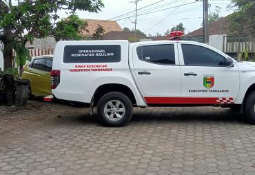 Mobil Pusling