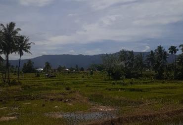 Pembebasan Tanah Ulayat untuk kepentingan Lintah Darat 