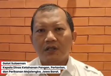 Gatot Sulaeman, Kepala Dinas Ketahanan Pangan, Pertanian, dan Perikanan Majalengka, Provinsi, Jawa Barat.