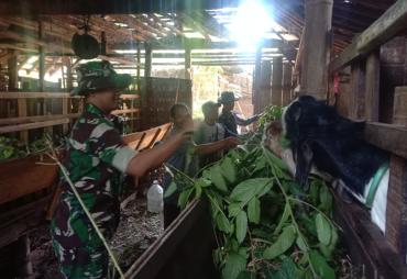 Optimalisasi Budidaya Ternak Kambing dalam Mendukung…
