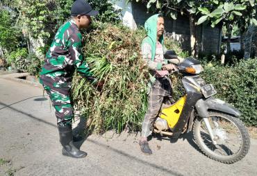 Koptu Nuryanto Bantu Warga Angkut Jerami
