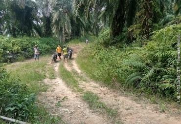 Notaris Diterbitkan, Diduga PT DDP Divisi IV Bunga Tanjung…